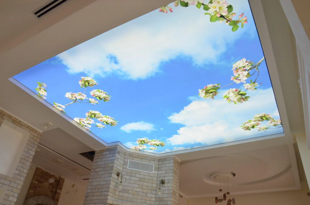 art print ceiling