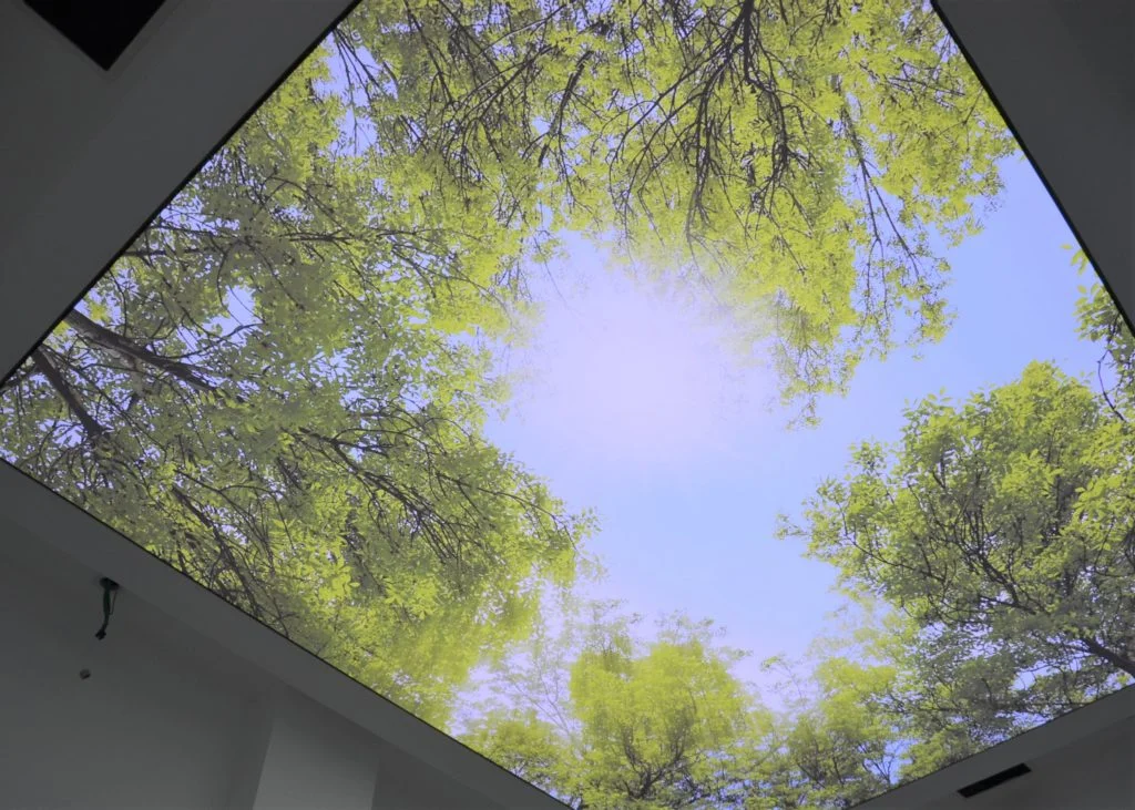 print ceiling